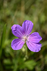 Similar image 2068303