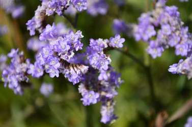 Similar image 2068304