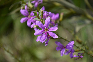 Similar image 2068311