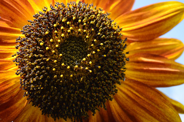 Similar image 2068317