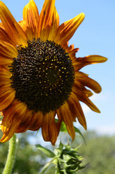 Similar image 2068320