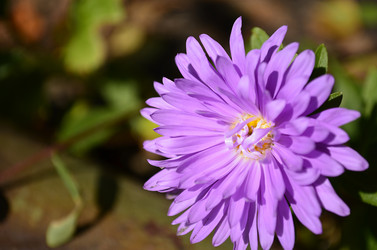 Similar image 2068322