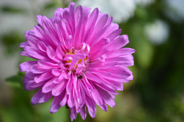 Similar image 2068323