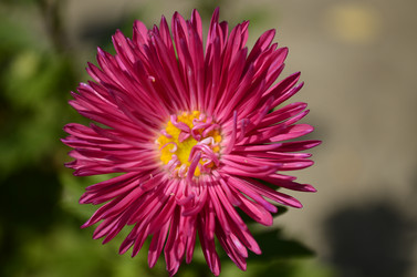 Similar image 2068325