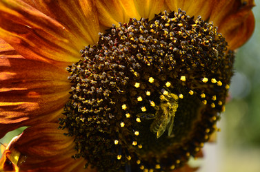 Similar image 2068327