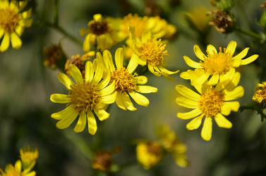 Similar image 2068328