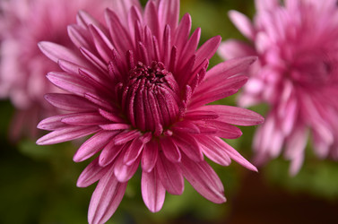 Similar image 2068355