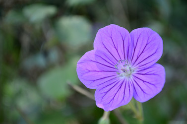 Similar image 2068357