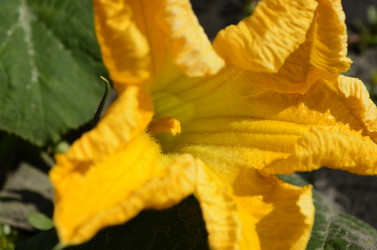 Similar image 2068359