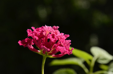 Similar image 2068361