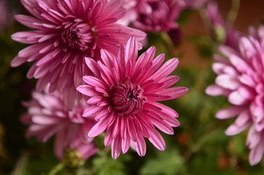 Similar image 2068362