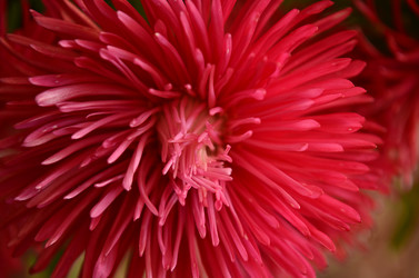 Similar image 2068369