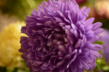 Similar image 2068371