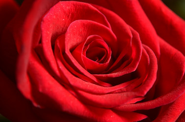 Similar image 2068372