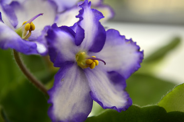 Similar image 2068376