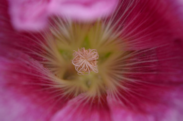 Similar image 2068782