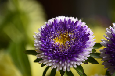 Similar image 2068787