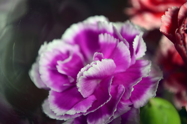 Similar image 2068789