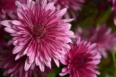 Similar image 2068791