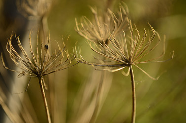 Similar image 2069732