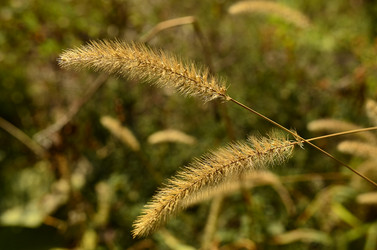 Similar image 2069734