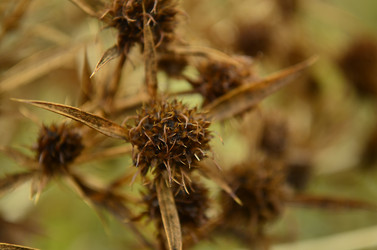 Similar image 2069735