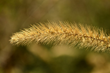 Similar image 2069737