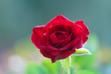 Similar image 2072624