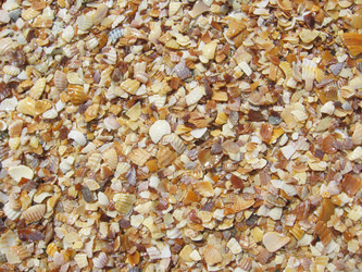 Similar image 2072676