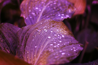 Similar image 2072707