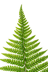 Similar image 2072815