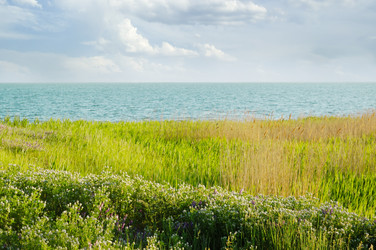 Similar image 2072841