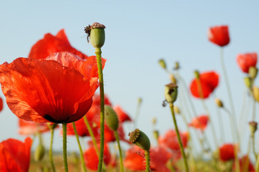 Similar image 2072843