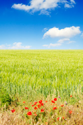 Similar image 2072845