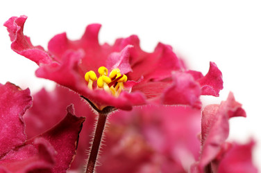 Similar image 2072862