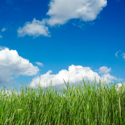 Similar image 2072869