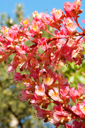 Similar image 2072870