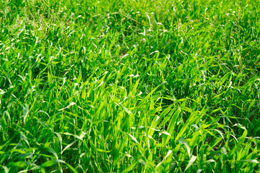 Similar image 2072883