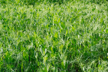 Similar image 2072887