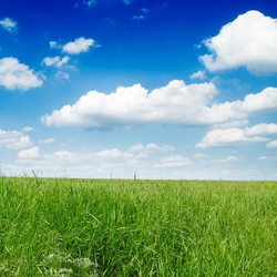 Similar image 2072894