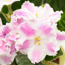 Similar image 2072900