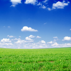 Similar image 2072921