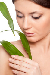 Similar image 2073101