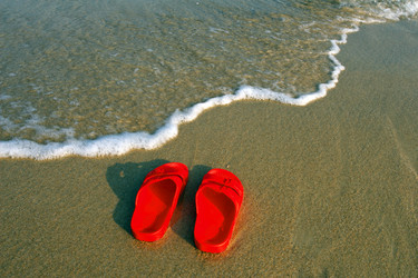 Similar image 2073254