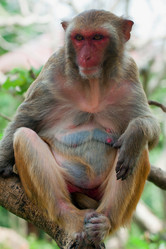 Similar image 2073259