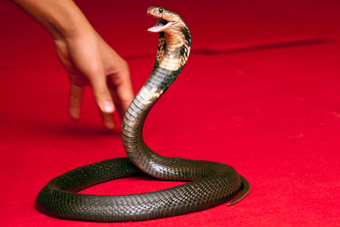 Similar image 2073261