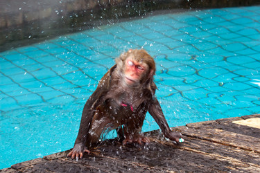 Similar image 2073263