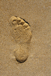 Similar image 2073265