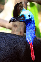 Similar image 2073272