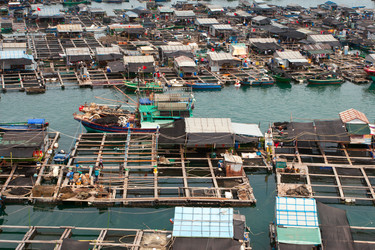 Similar image 2073288